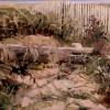 Dune Grass 12 x 16 Oil